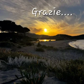 Instagram post from lisafrassi_official. This post is in position 4.
